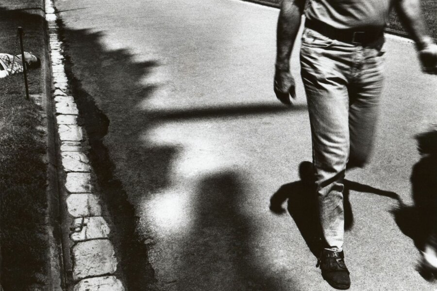 Vladimír Birgus, Pisa 1993